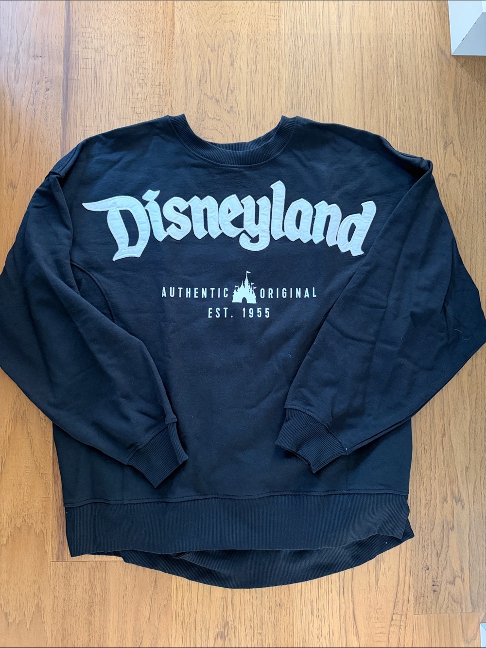 NWT DISNEYLAND SWEATSHIRT SIZE LARGE